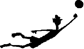 sfvyball.gif (1758 bytes)
